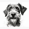 flat750x075f pad750x1000f8f8f8.u2 17 - Schnauzer Gifts