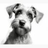 flat750x075f pad750x1000f8f8f8.u2 18 - Schnauzer Gifts