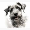 flat750x075f pad750x1000f8f8f8.u2 21 - Schnauzer Gifts