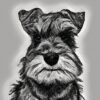 flat750x075f pad750x750f8f8f8 33 - Schnauzer Gifts