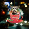 il fullxfull.5462124165 bhil - Schnauzer Gifts