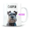 il fullxfull.5728192949 7vyj - Schnauzer Gifts