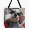 tb1040x1040large c1198800800 bgf8f8f8.u8 42 - Schnauzer Gifts