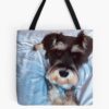 tb1040x1040large c1198800800 bgf8f8f8.u8 9 - Schnauzer Gifts