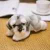 Simulation Dog Plush Toy Stuffed Animal Super High Quality Realistic Schnauzer Dog Toy For Luxury Home 2 - Schnauzer Gifts