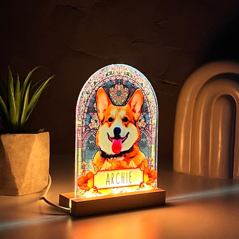 Pet Memorial Custom Acrylic Stained Glass Night Light - Schnauzer Gifts